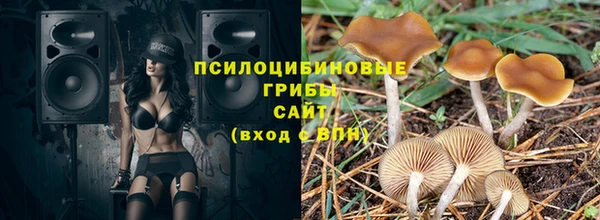 гидропоника Балахна
