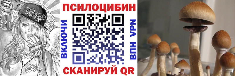 Псилоцибиновые грибы Magic Shrooms  Купить где  Демидов 